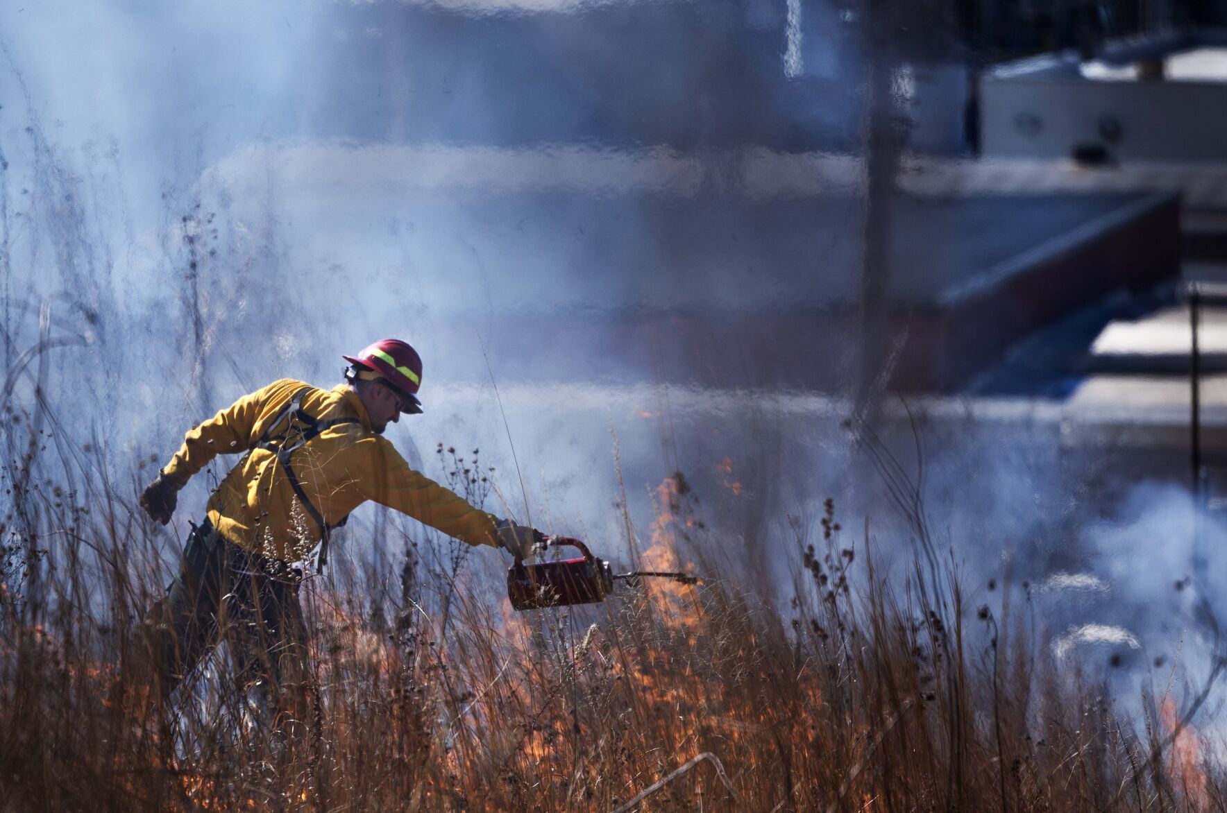 Wildlife and conservation groups conduct prescribed burn in Bellerive Park